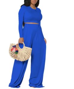 Lovely 2 Piece Wide Solid Pants and Top